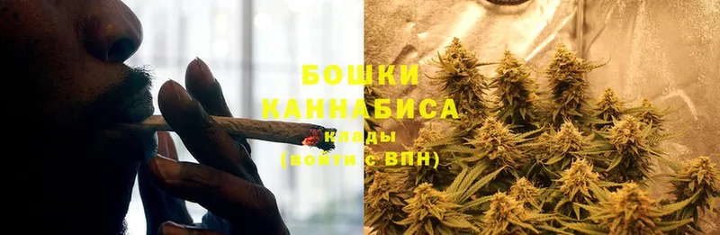 купить наркотик  Черкесск  Марихуана SATIVA & INDICA 